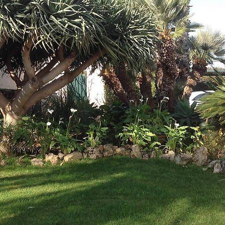 B&B La Pomelia Agrigento Eksteriør billede