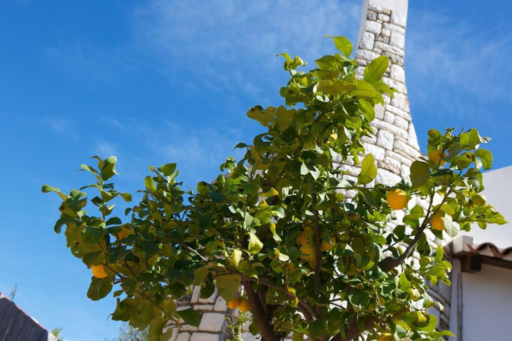 B&B La Pomelia Agrigento Eksteriør billede